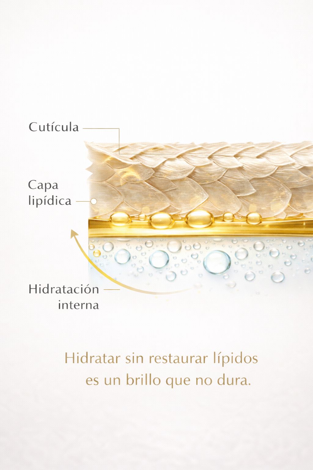 Ampolleta de acido hialurónico molecular